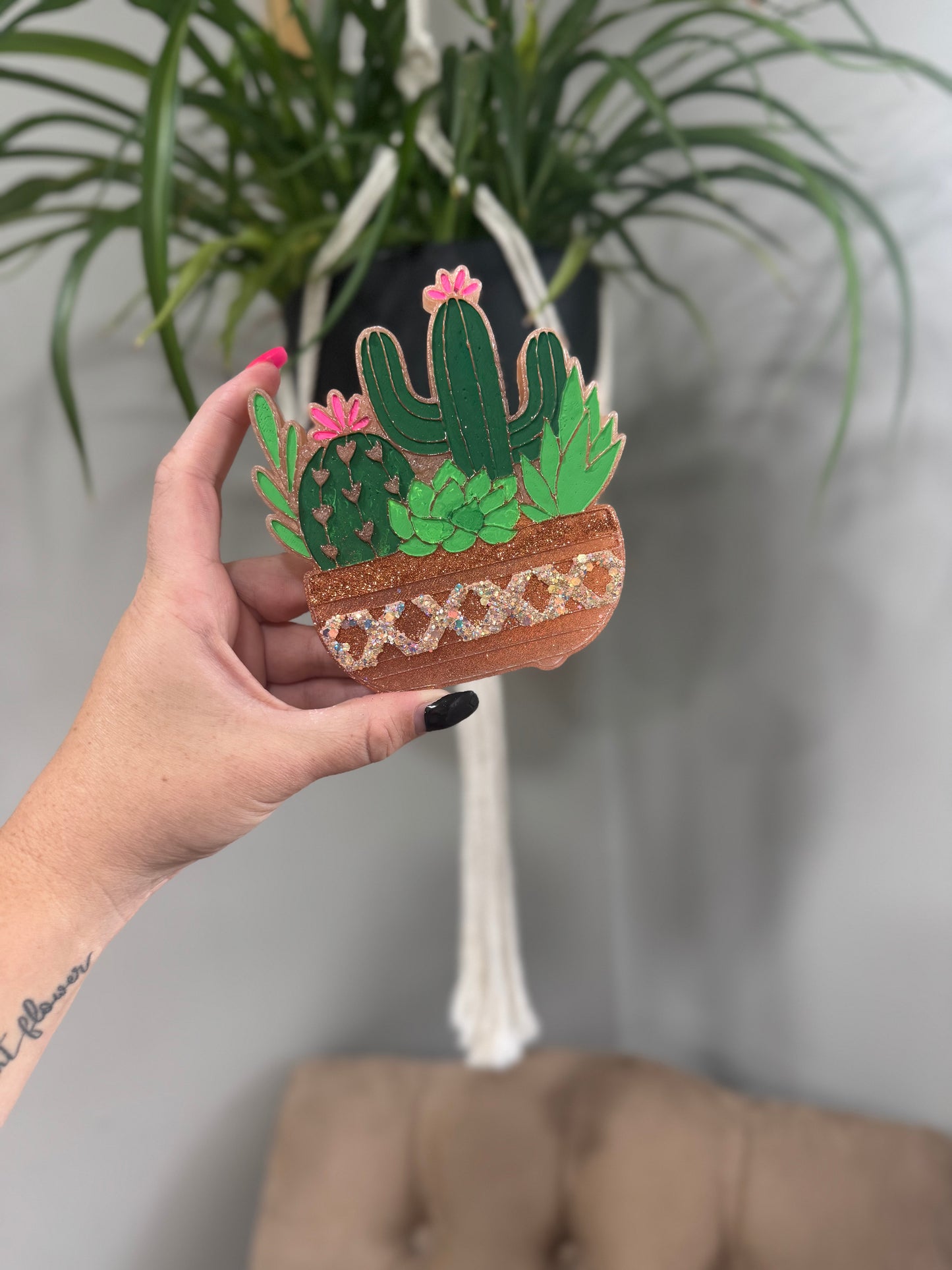 Cactus Plant-Aloha Kiwi Passionfruit